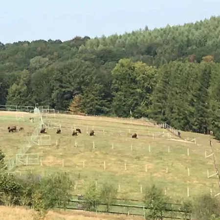 Haus Sonnenschein Apartamento Wermelskirchen