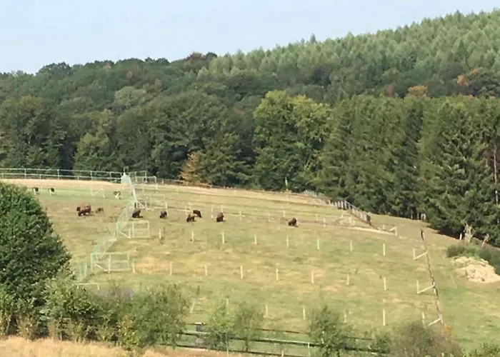 Haus Sonnenschein דירה ורמלסקירכן